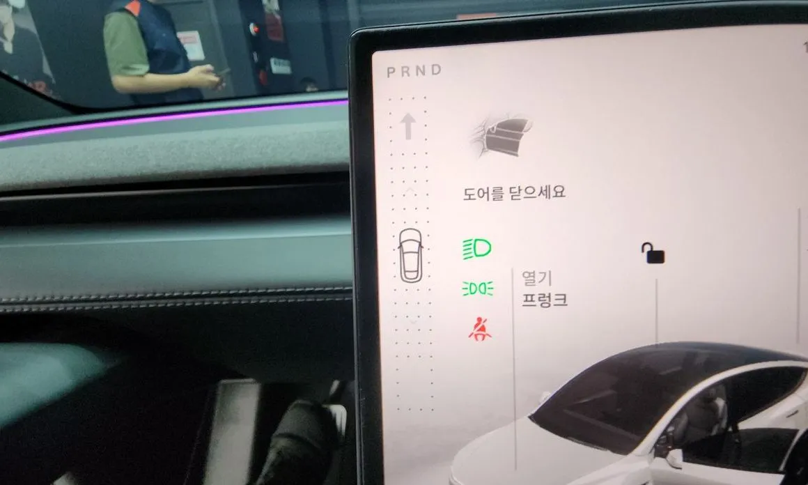 Tesla Model Y 2026 из KR, фото 6