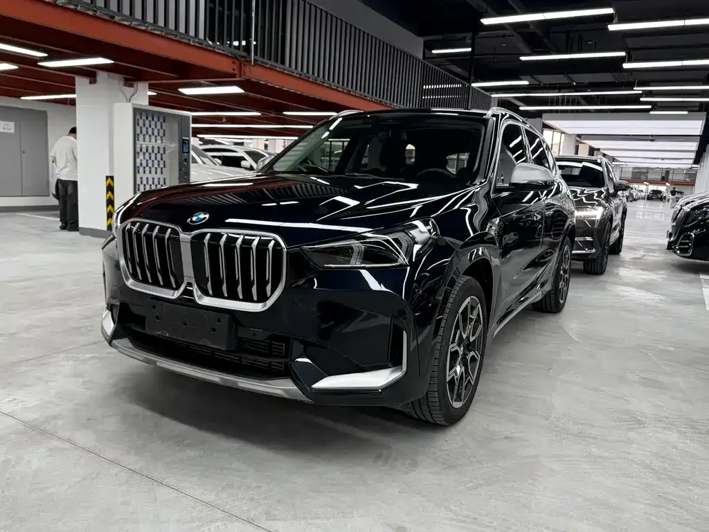 BMW X1 — фото 1