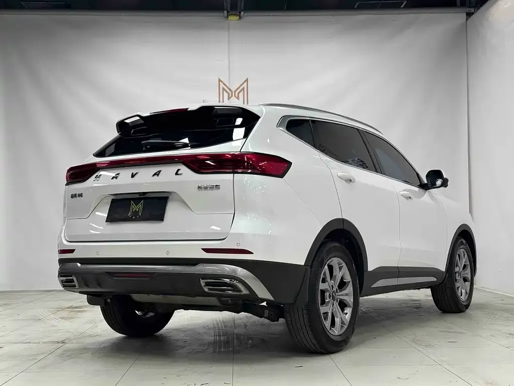 Haval H6 — фото 9