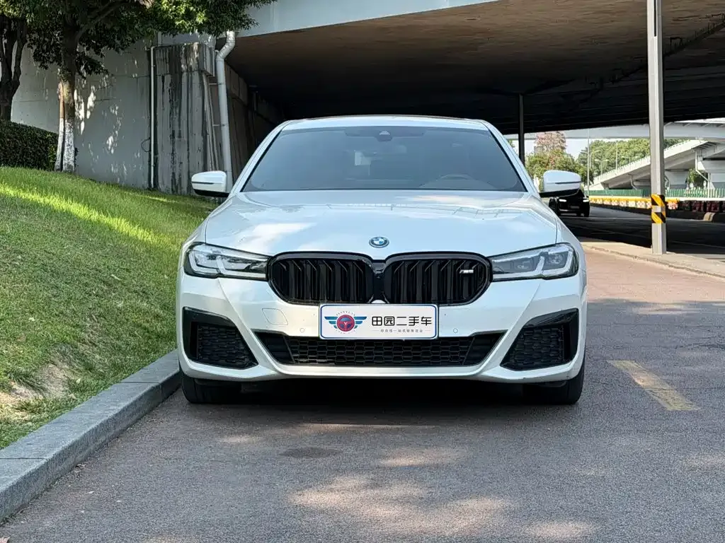 BMW 5 Series New Energy — фото 10