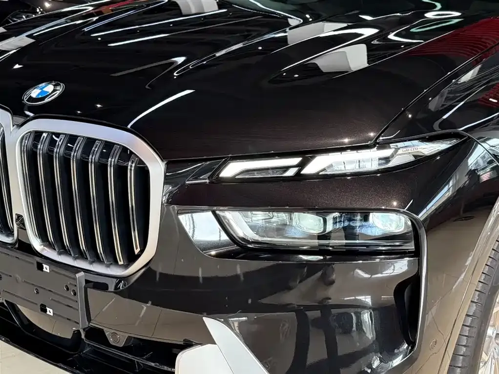 BMW X7 — фото 6