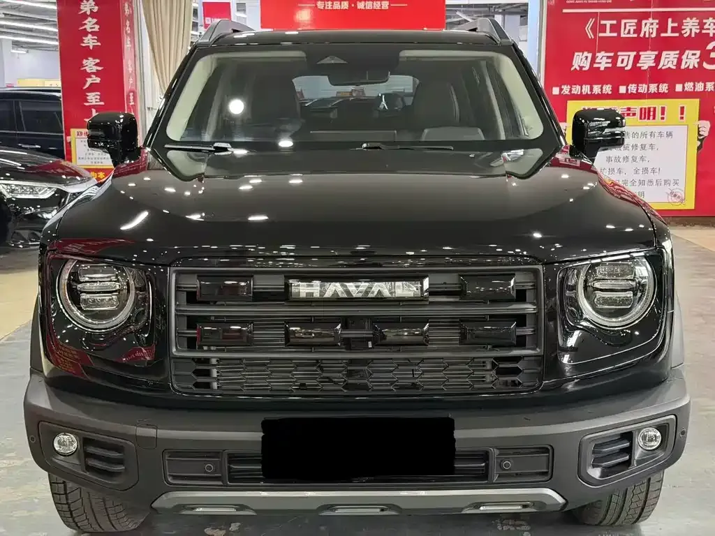 Haval Big Dog 1.5T DCT Border Collie 1