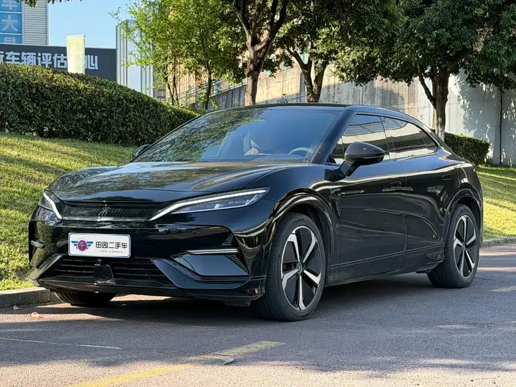 BYD L EV — фото 1