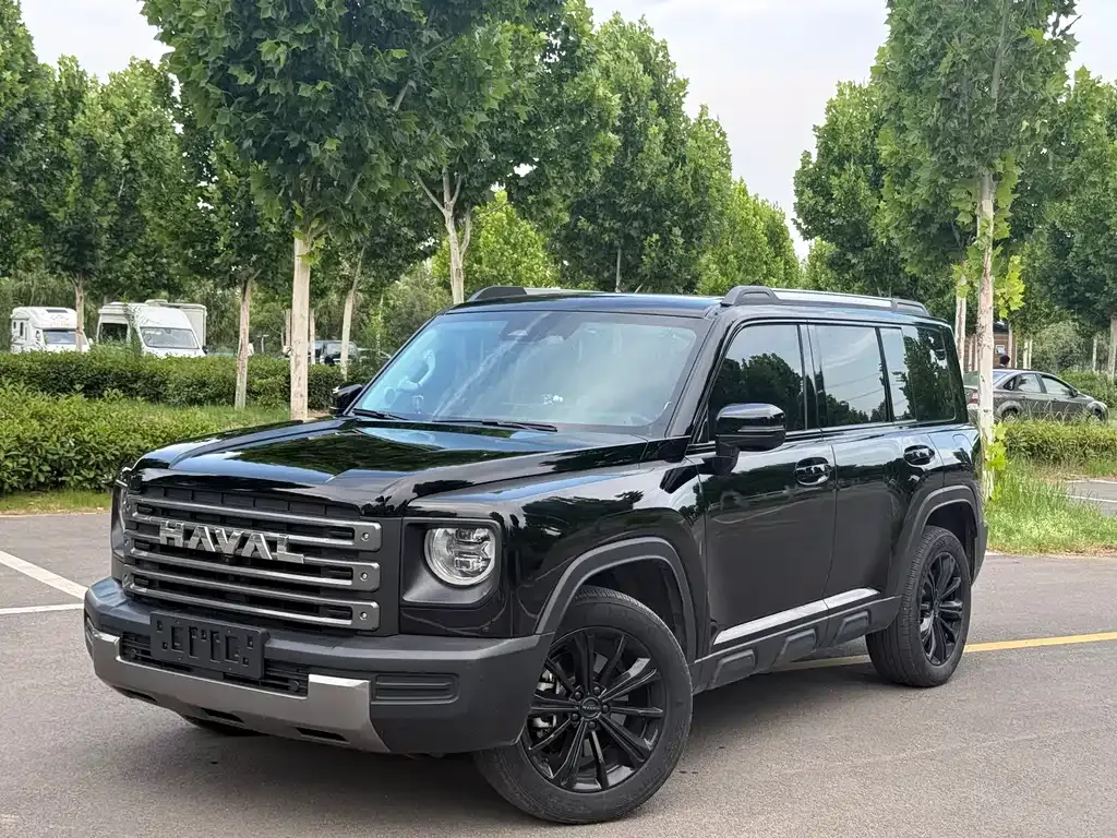 Haval Menglong New Energy — фото 1
