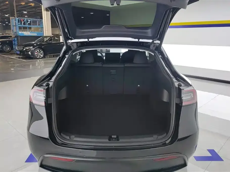 Tesla Model Y — фото 10