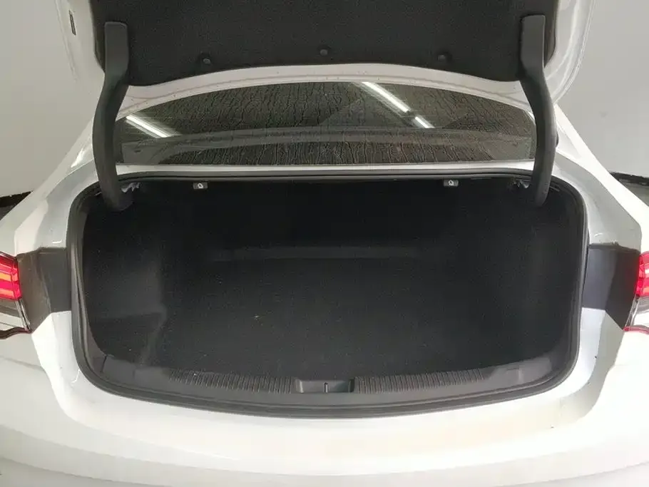 Buick Regal 2024 из CN, фото 2