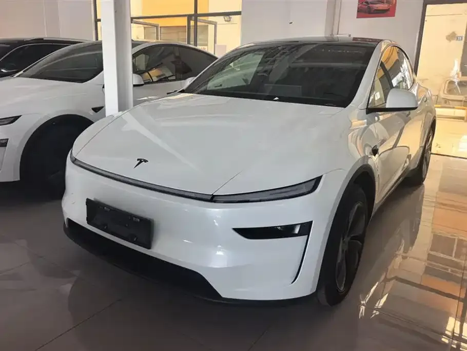 Tesla Model Y — фото 1