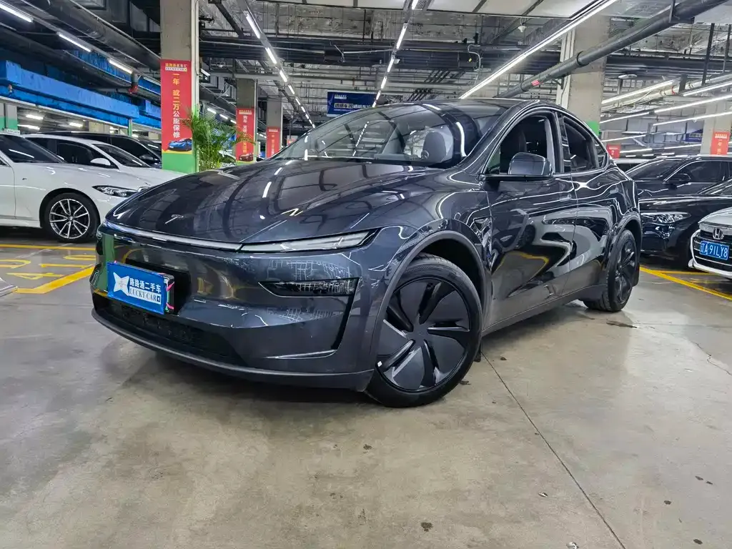 Tesla Model Y — фото 1
