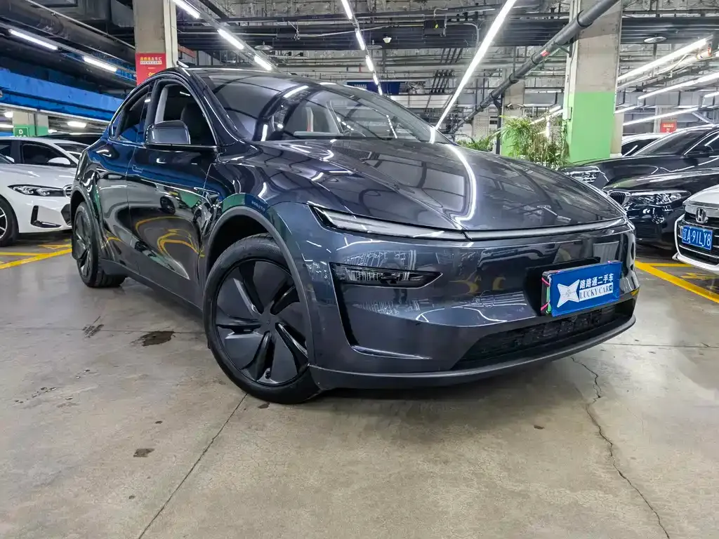 Tesla Model Y — фото 7