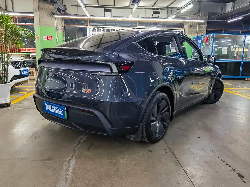 Tesla Model Y — фото 9