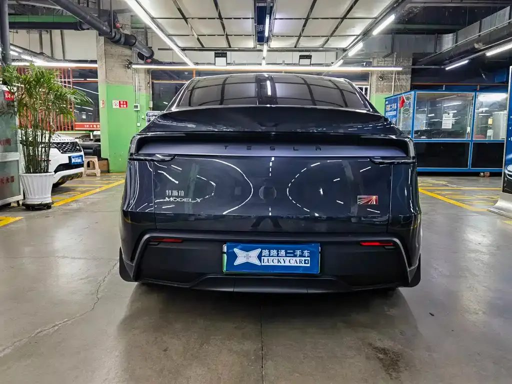 Tesla Model Y — фото 6