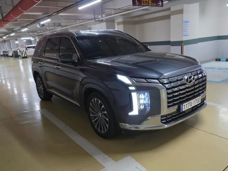 Hyundai Palisade — фото 8
