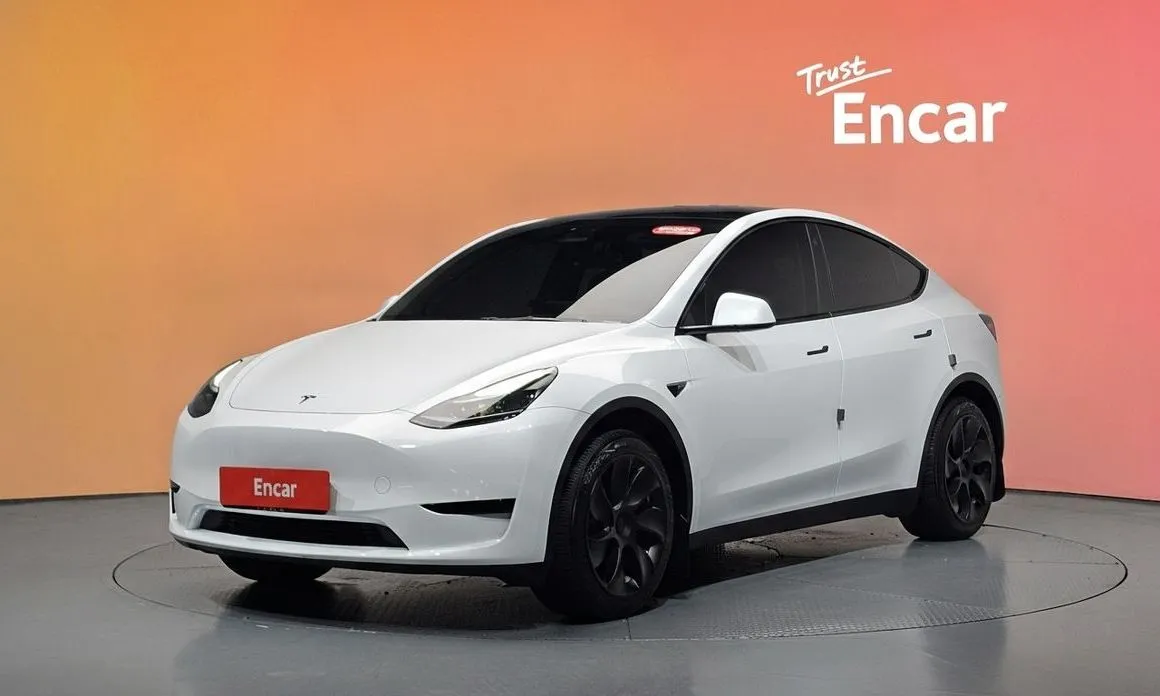 Tesla Model Y — фото 1