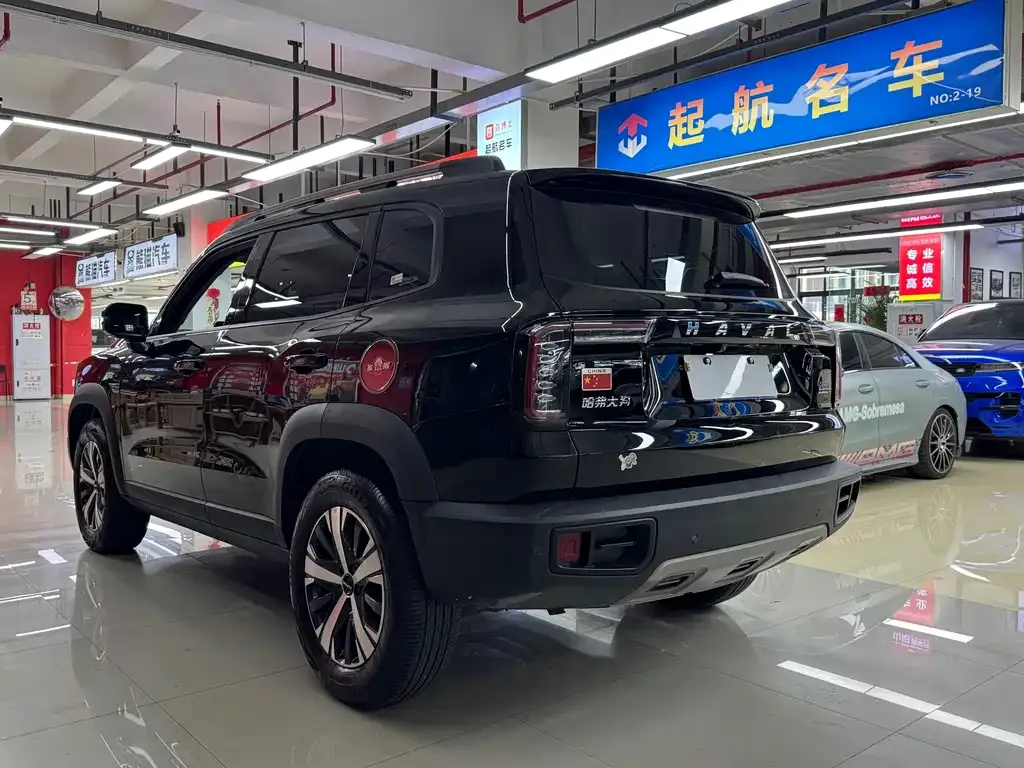 Haval Big Dog — фото 10