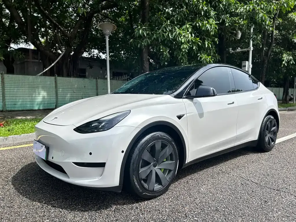 Tesla Model Y — фото 1