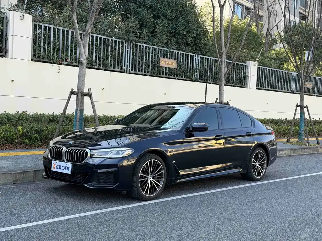 BMW 5 Series (Import) — фото 1