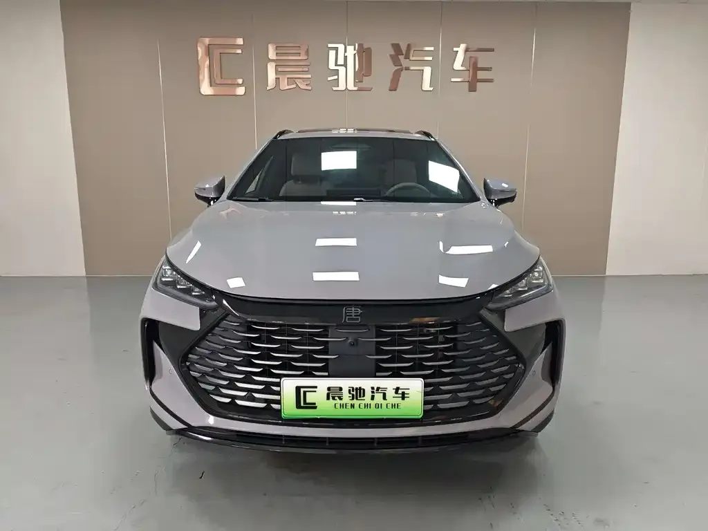 BYD Tang New Energy — фото 4