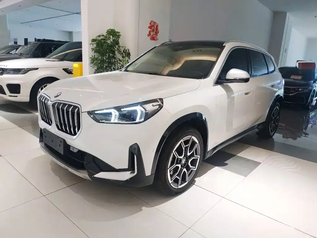 BMW X1 — фото 1