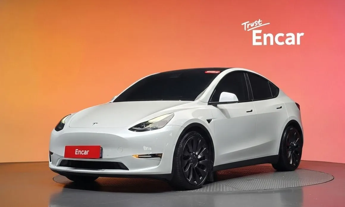 Tesla Model Y — фото 1