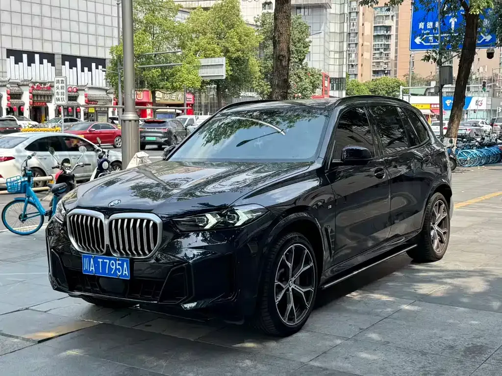 BMW X5 — фото 1