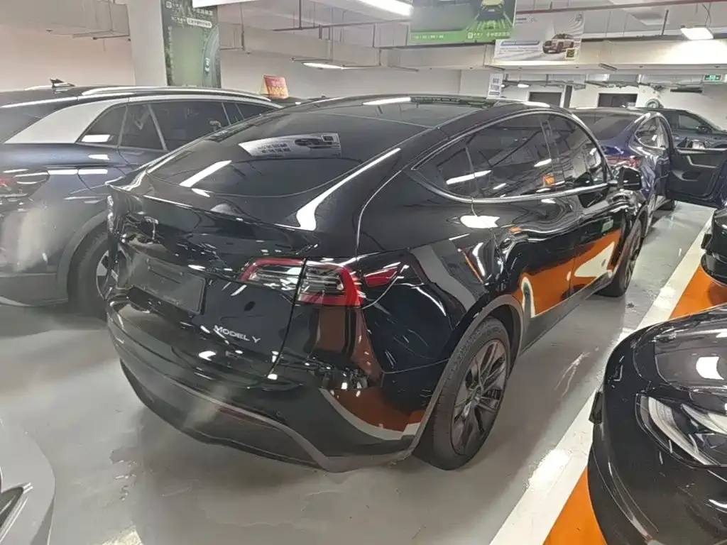 Tesla Model Y — фото 10