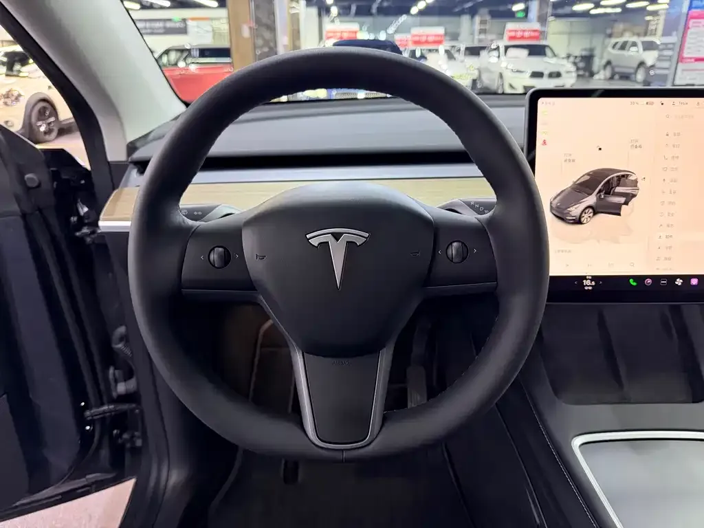 Tesla Model Y — фото 8