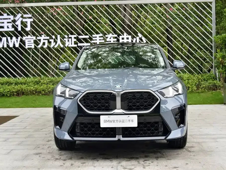 BMW X2 (Import) — фото 8