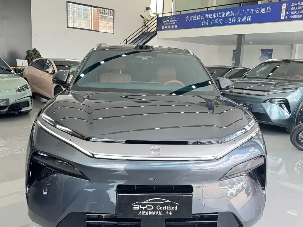 BYD Tang L — фото 4