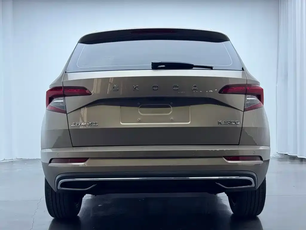 Skoda Karoq — фото 5