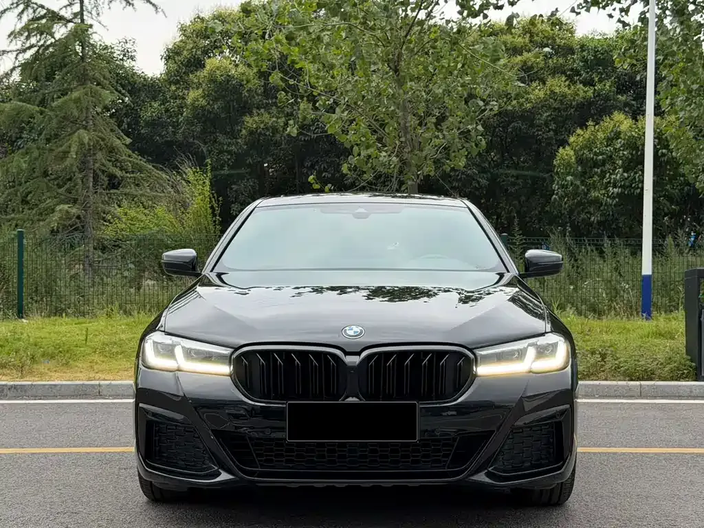 BMW 5 Series New Energy — фото 8