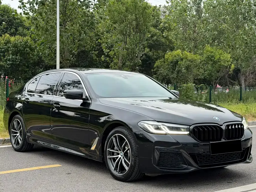 BMW 5 Series New Energy — фото 10