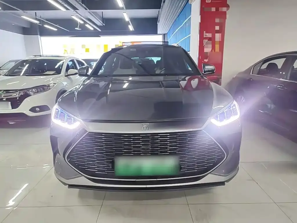 BYD PLUS New Energy — фото 2