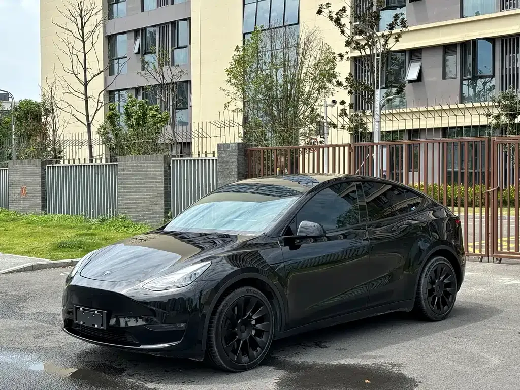 Tesla Model Y — фото 1