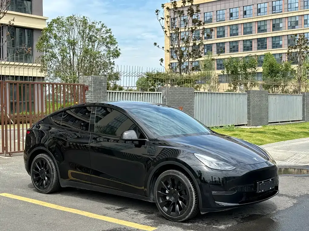 Tesla Model Y — фото 8