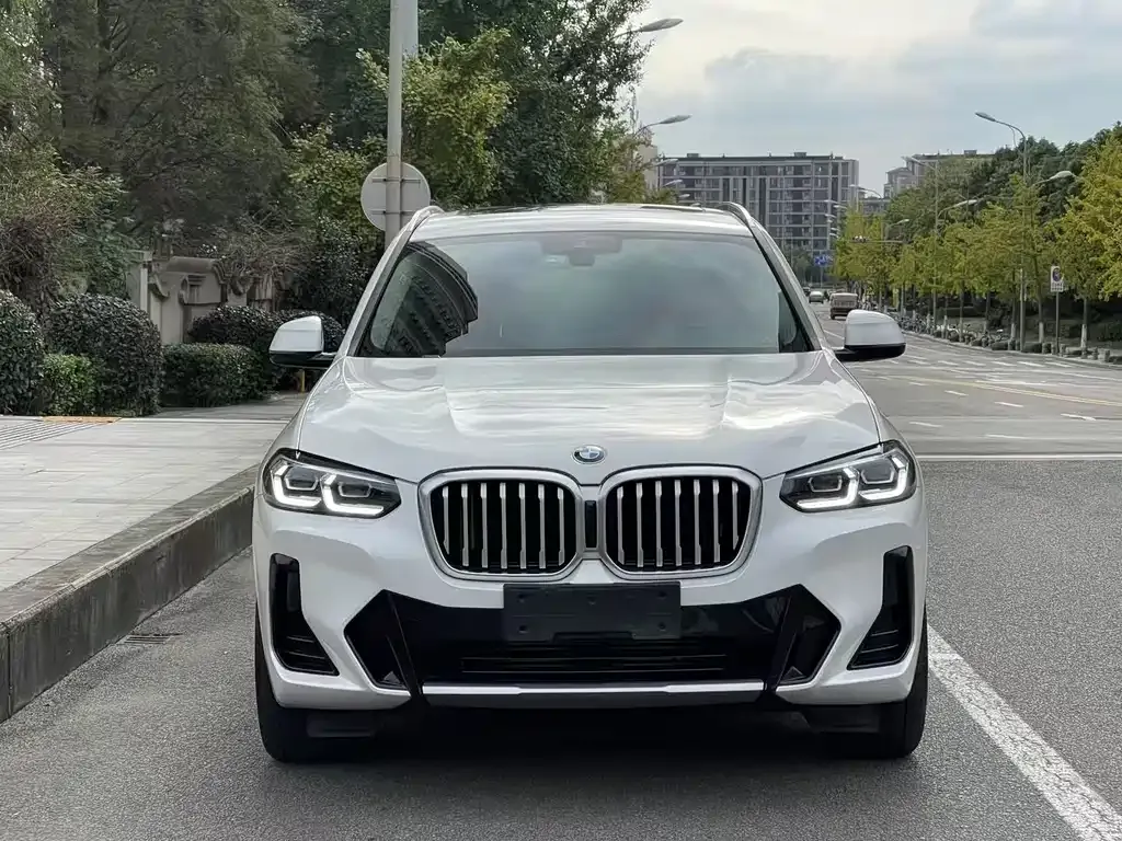 BMW X3 2024 из CN, фото 8