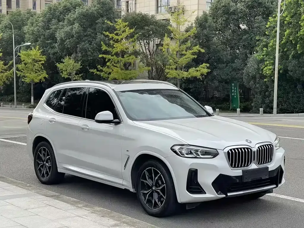 BMW X3 2024 из CN, фото 7