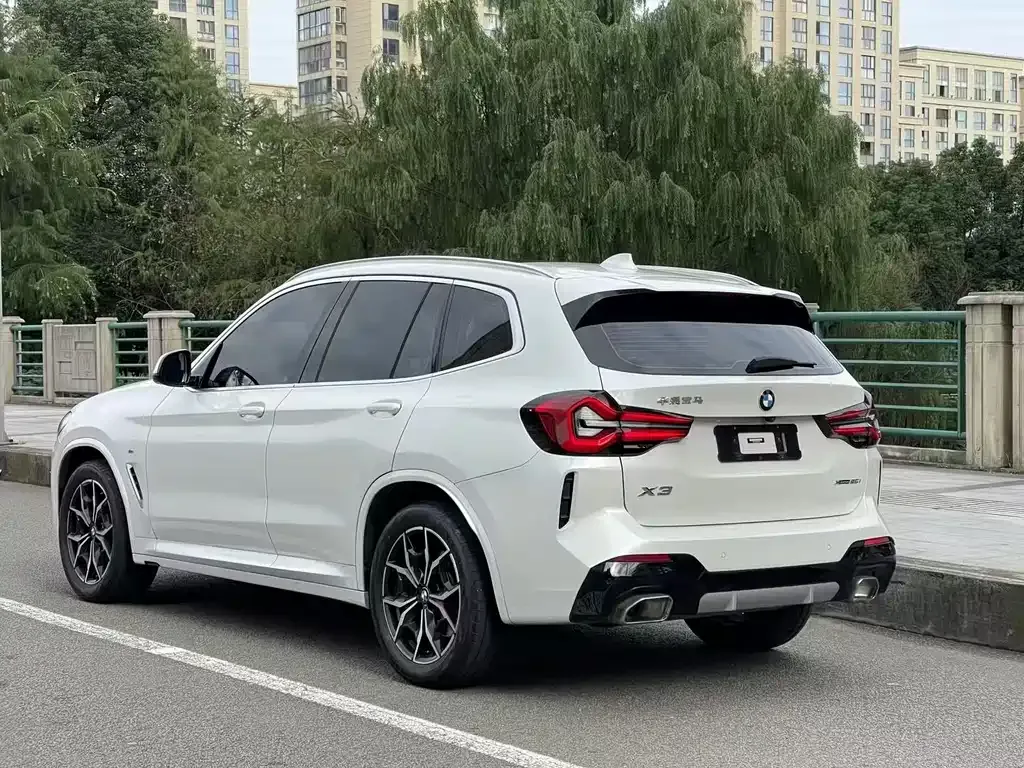 BMW X3 2024 из CN, фото 9