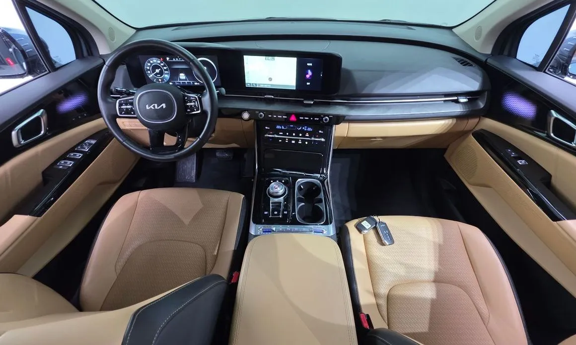 Kia Carnival — фото 10