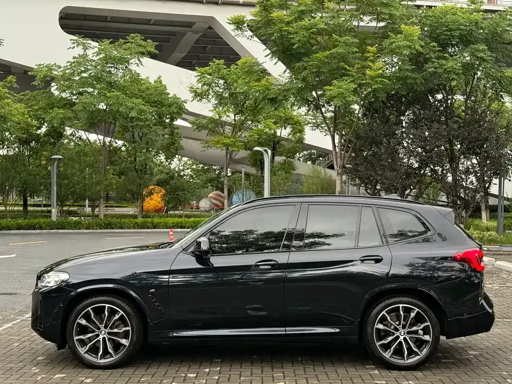 BMW X3 2024 из CN, фото 9