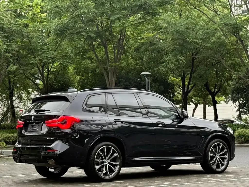 BMW X3 2024 из CN, фото 6