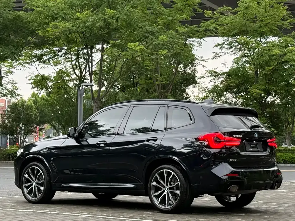 BMW X3 2024 из CN, фото 8
