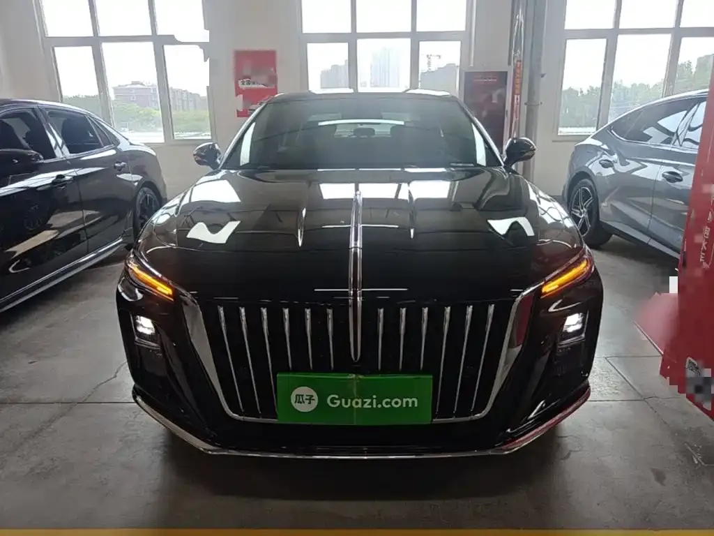 Hongqi H5 2024 из CN, фото 8