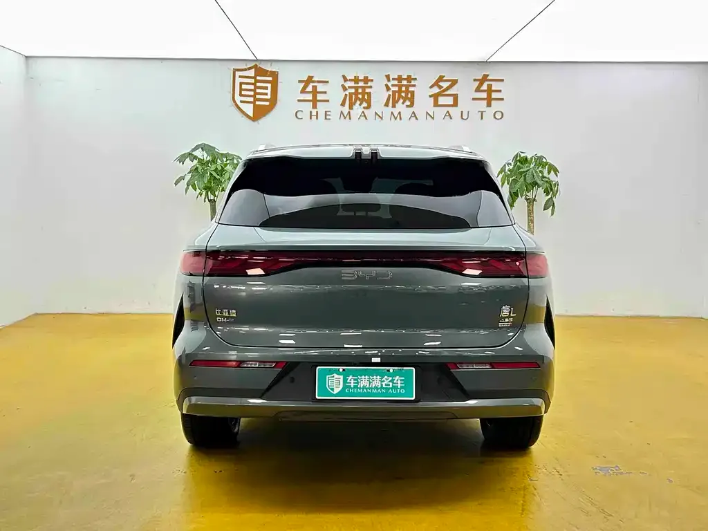 BYD Tang L — фото 4