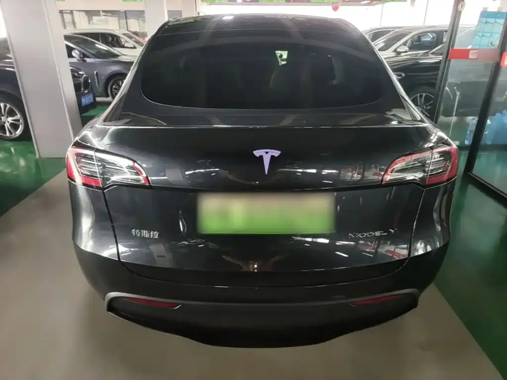 Tesla Model Y — фото 3