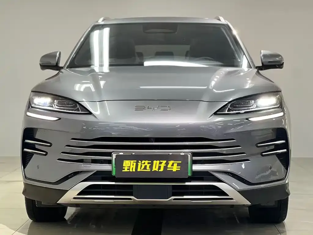 BYD PLUS New Energy — фото 2
