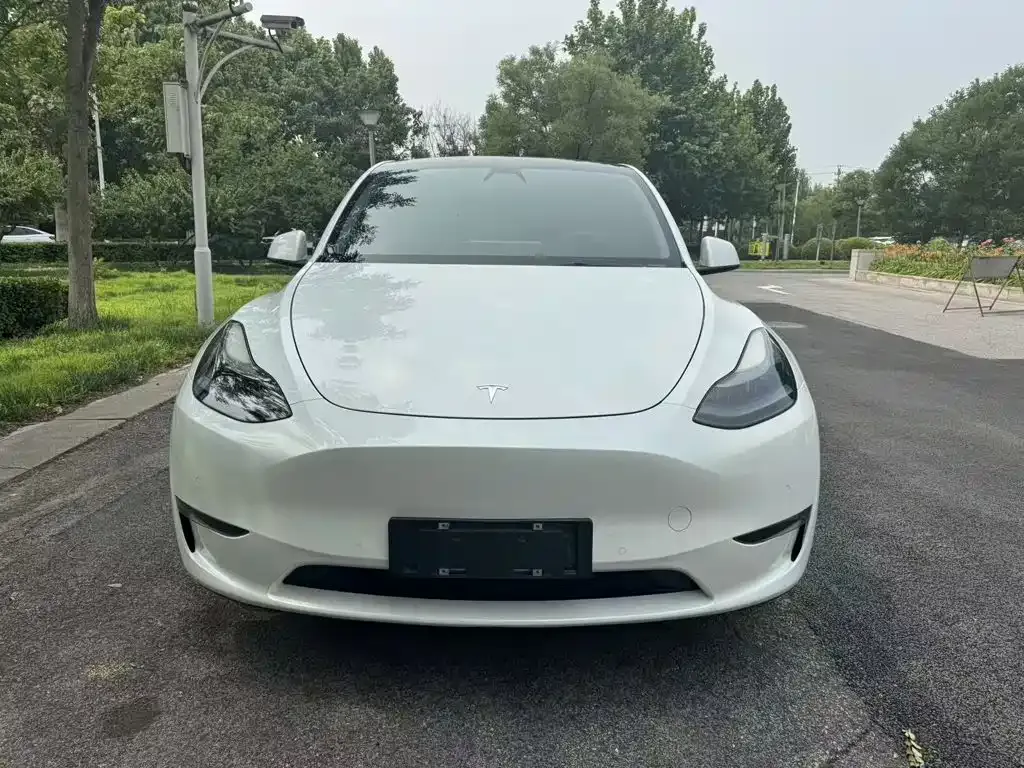 Tesla Model Y — фото 10