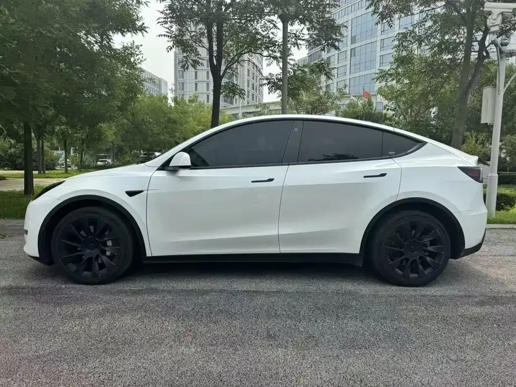 Tesla Model Y — фото 7