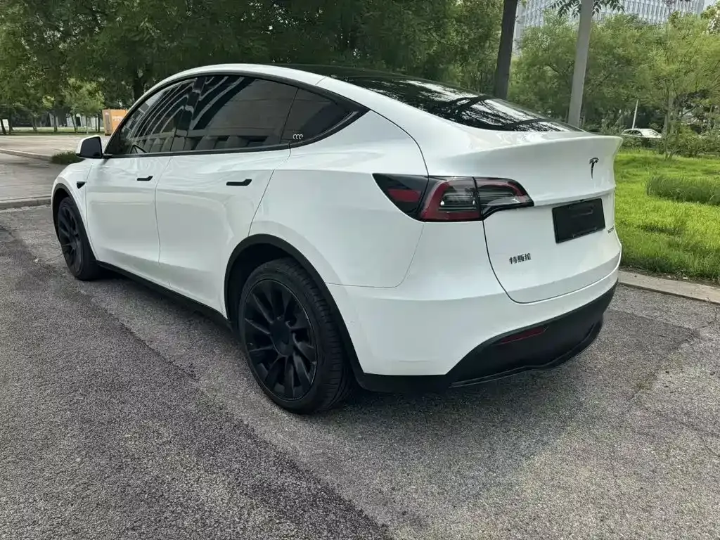 Tesla Model Y — фото 8