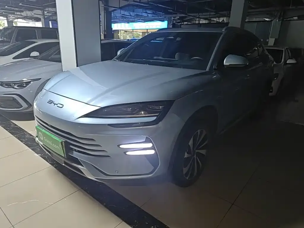 BYD PLUS New Energy — фото 1