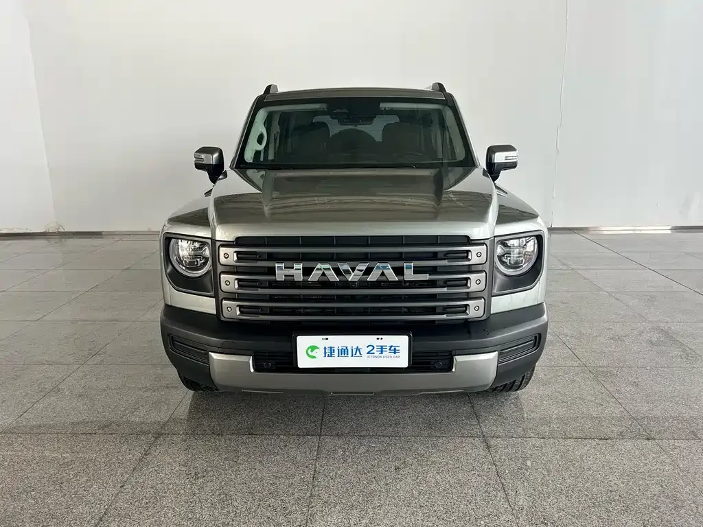Haval Menglong New Energy 2024 из CN, фото 3